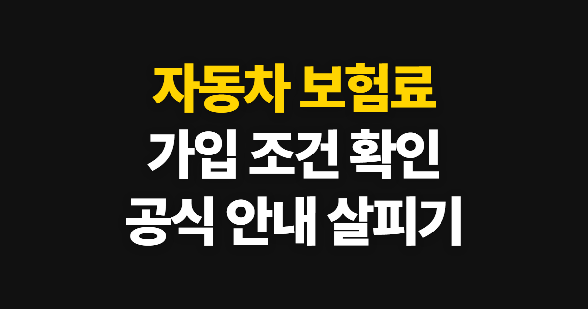 자동차 보험료, 동일증권과 가입 절차 확인하기