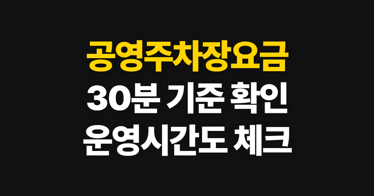 공영주차장요금, 30분 기준과 현장 확인 방법