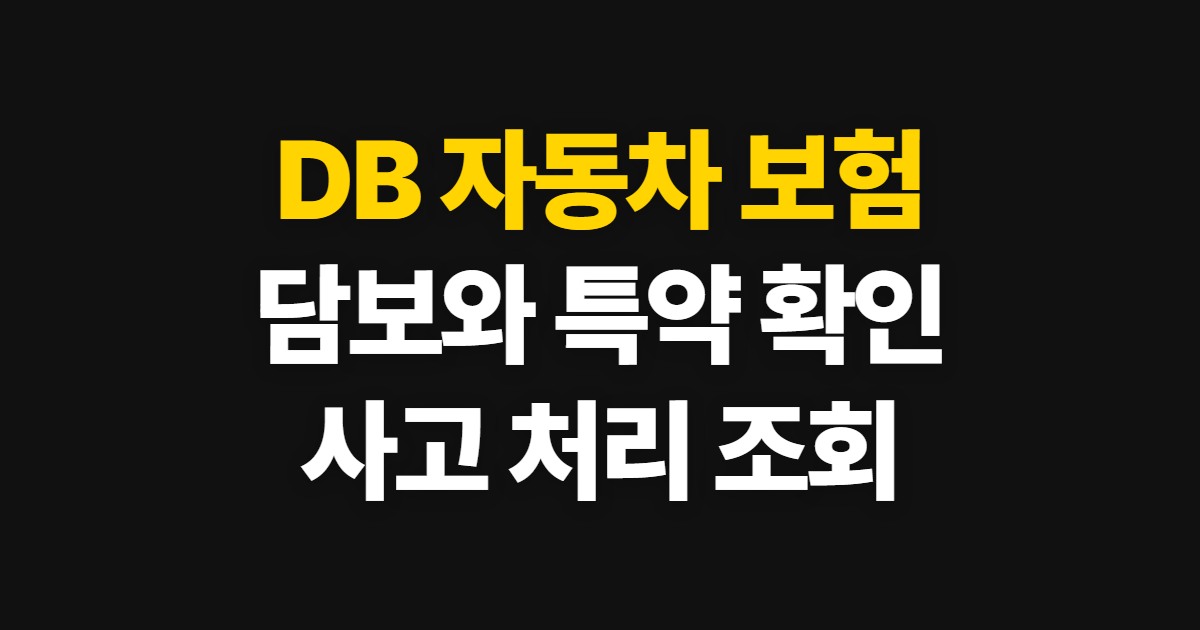 DB 자동차 보험 담보·옵션 변경, 보험료와 사고 조회 방법
