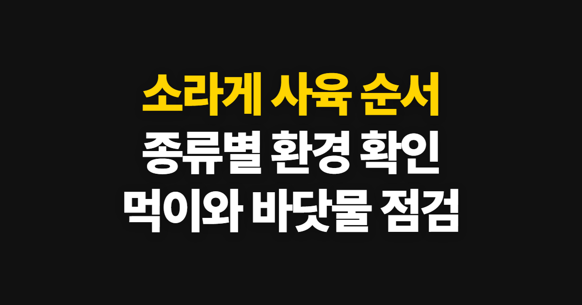 소라게 종류별 사육, 환경과 먹이 확인 순서