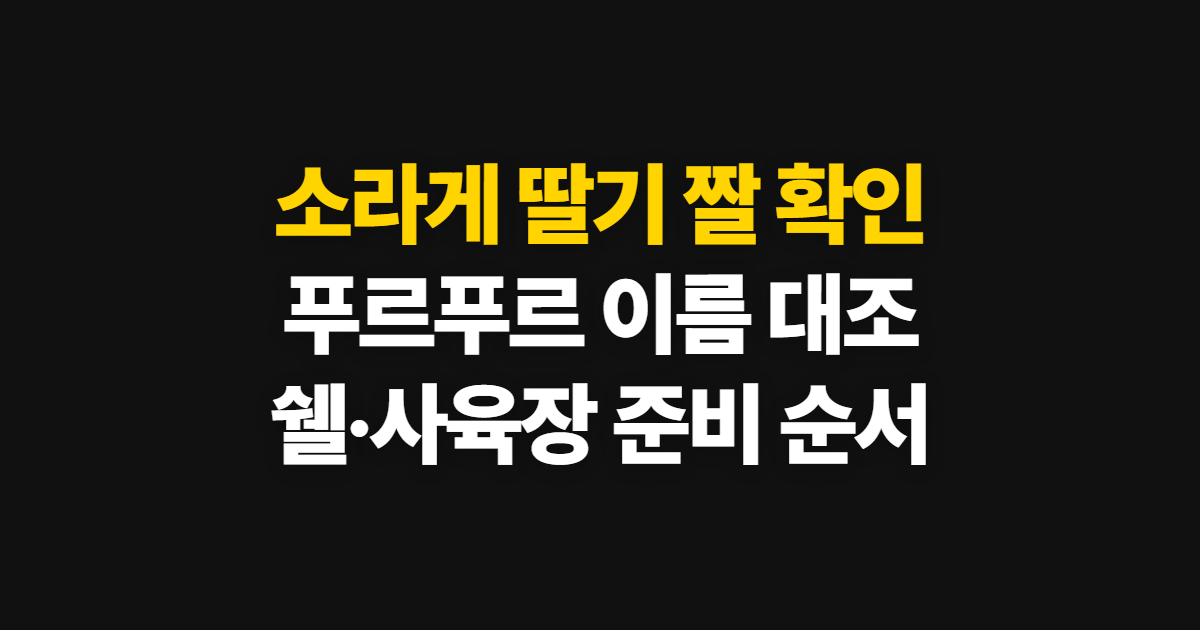소라게, 딸기·푸르푸르 짤부터 쉘과 사육장 확인 순서