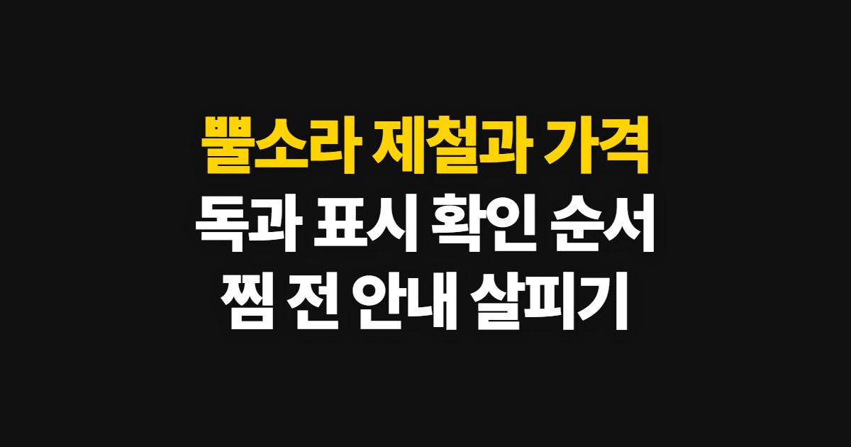 뿔소라 손질과 삶기, 제철·독·가격 확인 순서