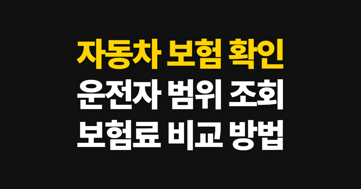 자동차 보험 운전자 차이, 가입 확인과 책임 보장 조회 방법