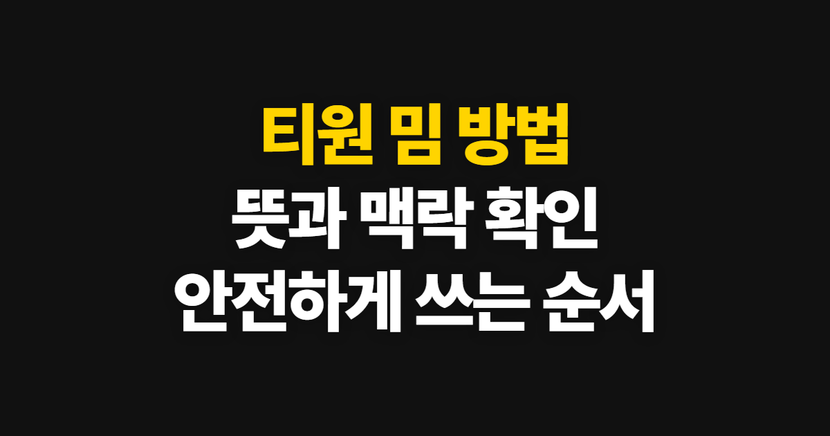 티원 밈 방법, 뜻과 쓰임을 확인하는 순서