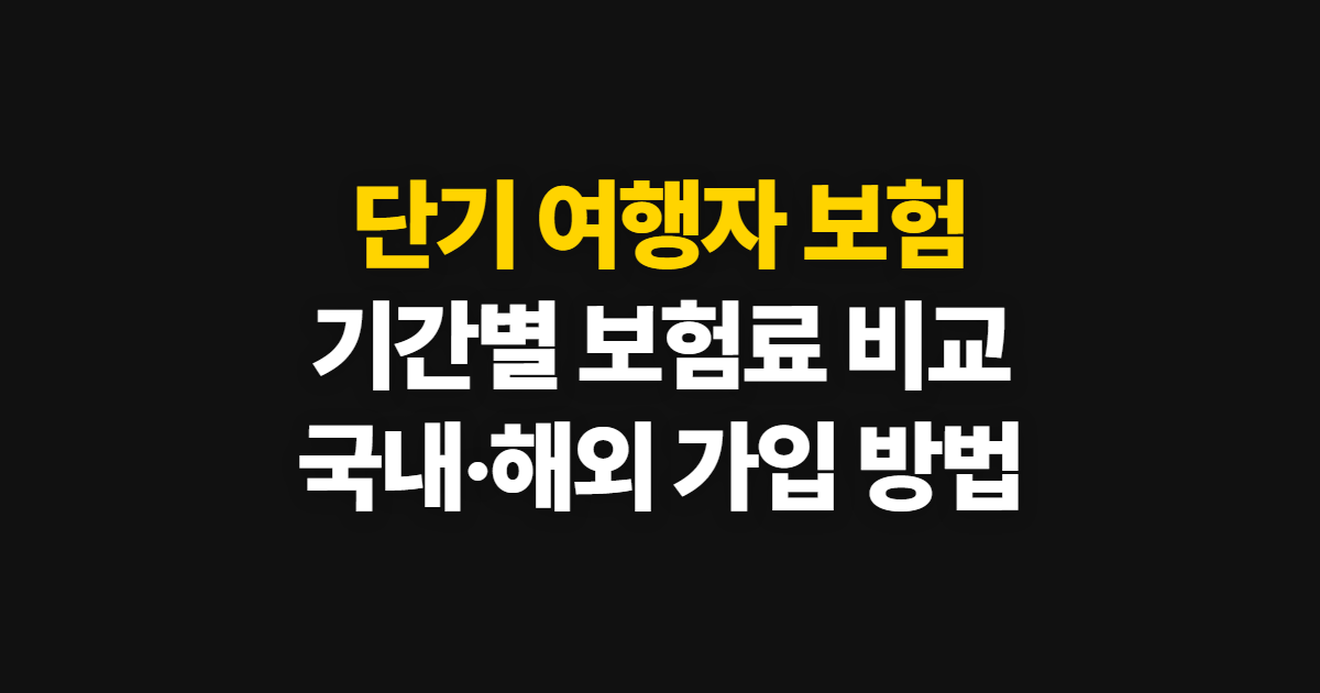 단기 여행자 보험, 국내·해외와 장기 가입 방법 및 보험료 비교