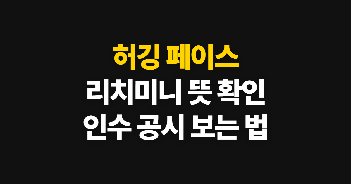허깅 페이스 사건 로봇 이름 뜻, 리치미니 인수 확인 순서