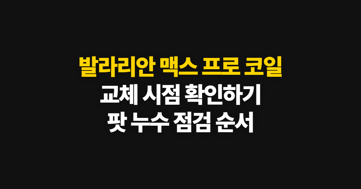 발라리안 맥스 프로 코일, 교체법과 수명·교체 주기 확인 순서