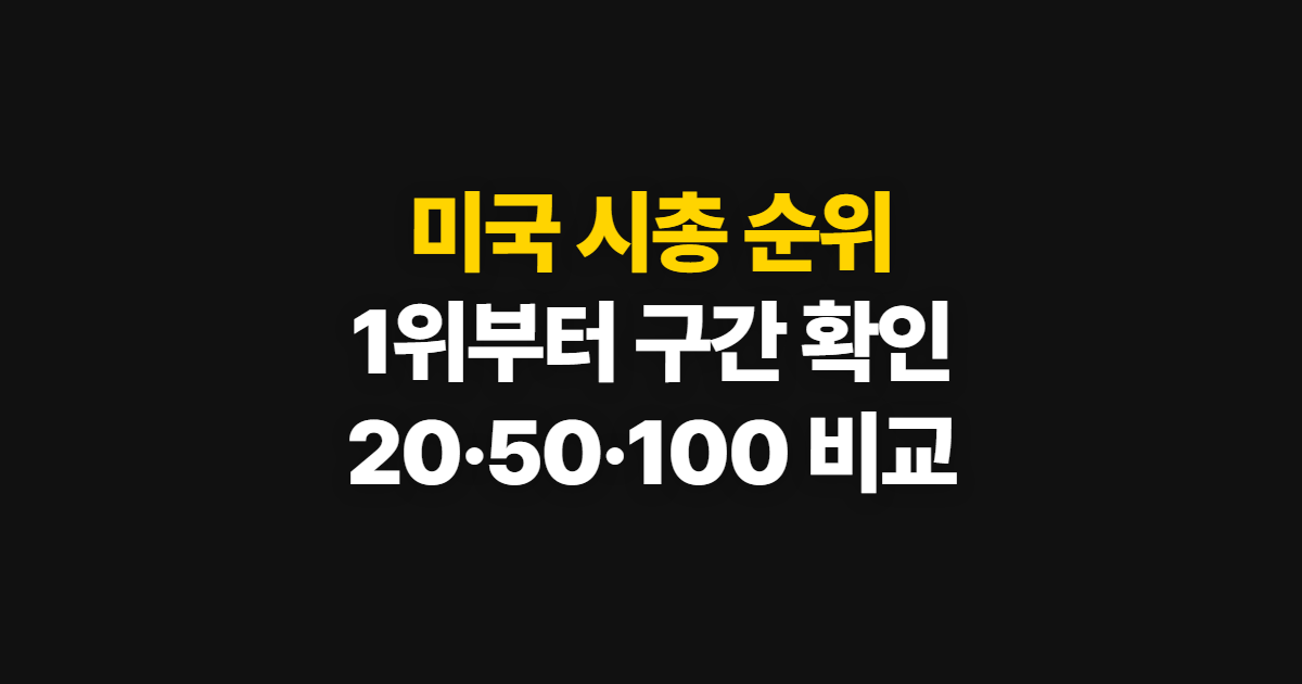 미국 시총 순위, 100·20·10위권 비교 기준과 확인 순서