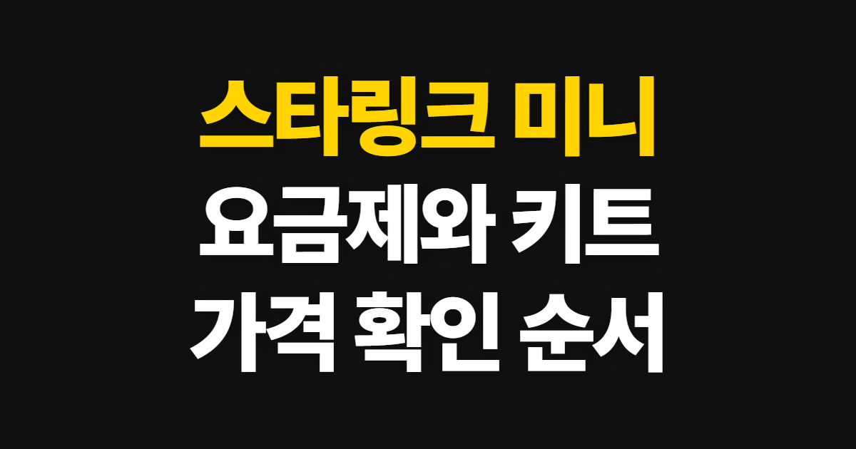 스타링크 미니, 요금제·키트·단말기 확인 순서