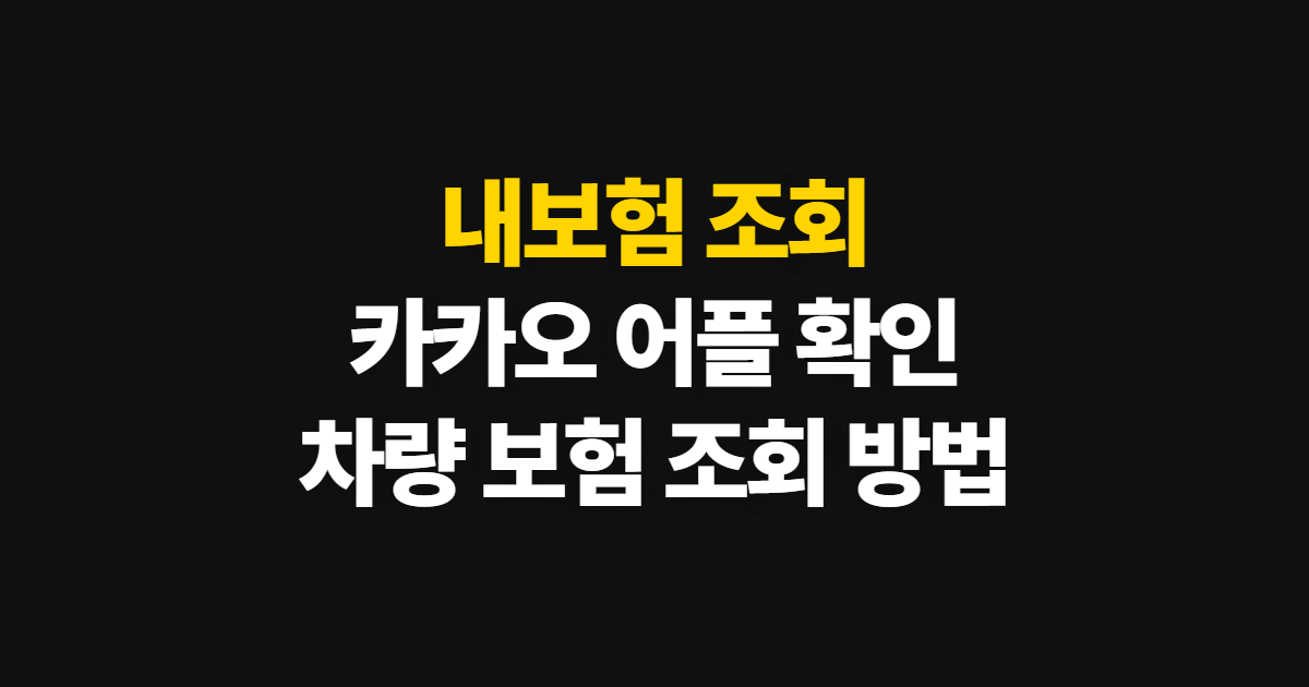 내보험 조회, 카카오 어플과 차량 보험 확인 방법