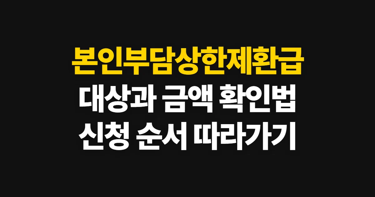 본인부담상한제환급, 대상과 지급액 조회부터 신청까지
