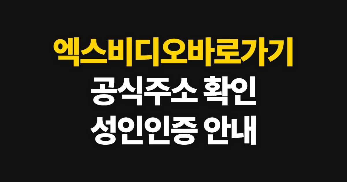엑스비디오바로가기, 공식 주소 확인과 접속 전 성인인증 안내