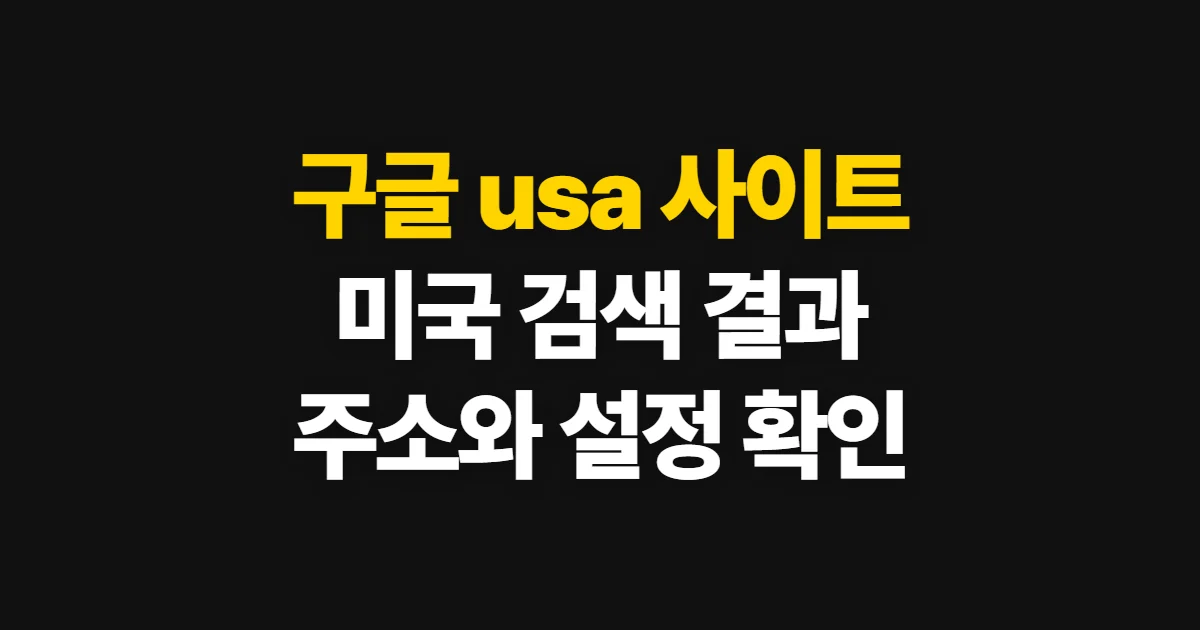구글 usa 사이트, 미국 지역 검색 결과 확인 방법