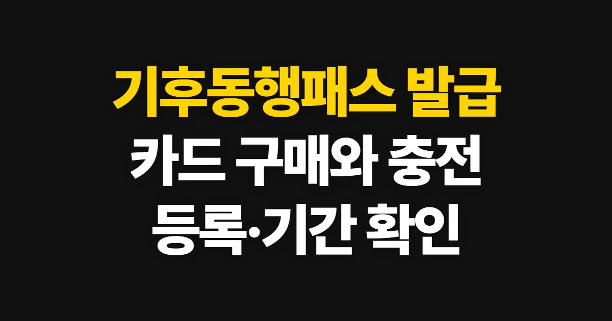 기후동행패스 발급, 카드 구매처와 충전 방법·기간